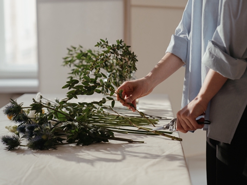 德國(guó)包裝法注冊(cè)全流程：2025年新指南