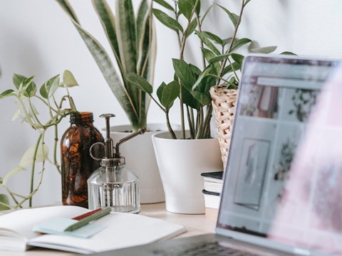 全面解析：中國香港的稅收體制及優(yōu)勢