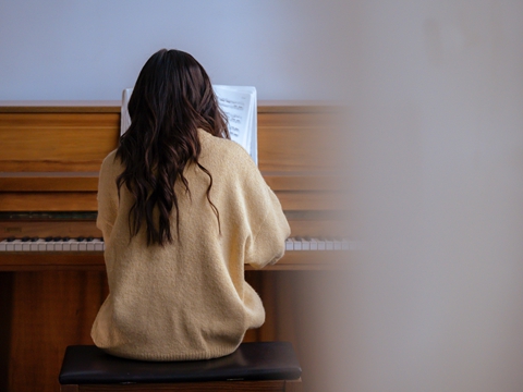 香港公司年審政府費(fèi)用核算與查詢方法